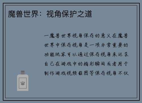 魔兽世界：视角保护之道